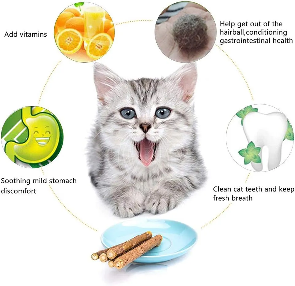 10 PCS Cat Catnip Sticks, Natural Matatabi Silvervine Sticks - Cleaning Teeth Molar Tools Kitten Chew Toy Natural Catnip Cats Toy
