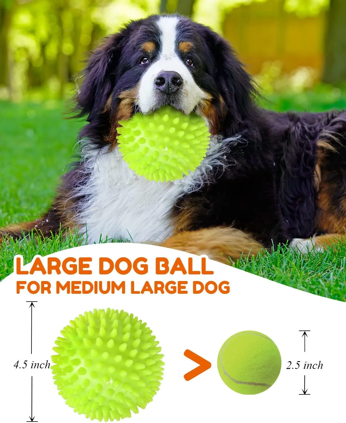 4.5 Heavy Duty Squeaky Dog Balls for Medium Large Dogs, Dog Toys for Aggressive Chewers, Spike Ball Toys for Clean Teeth and Training(2 Pack)