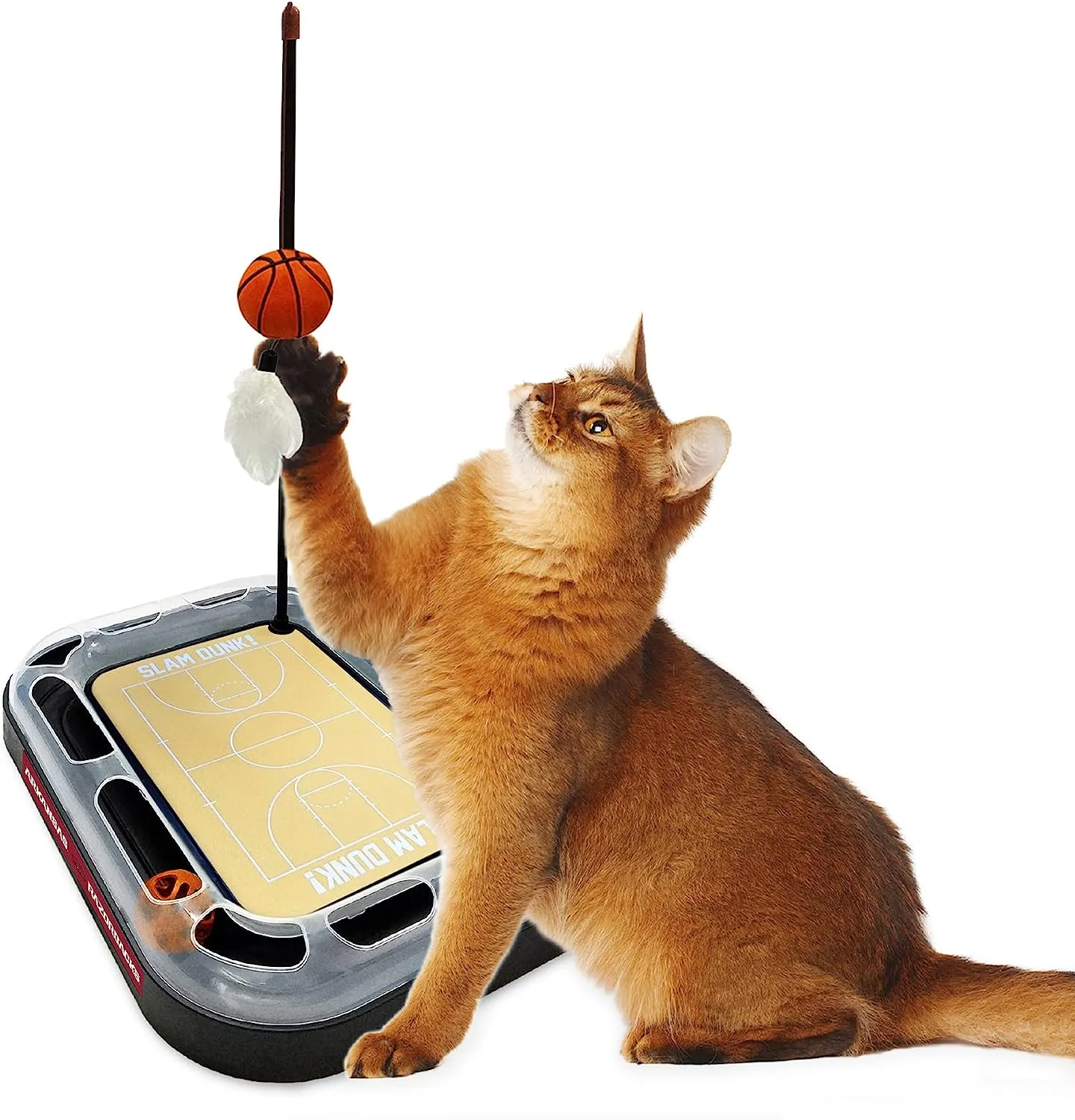 AR Razorbacks Basketball Cat Scratcher Toy