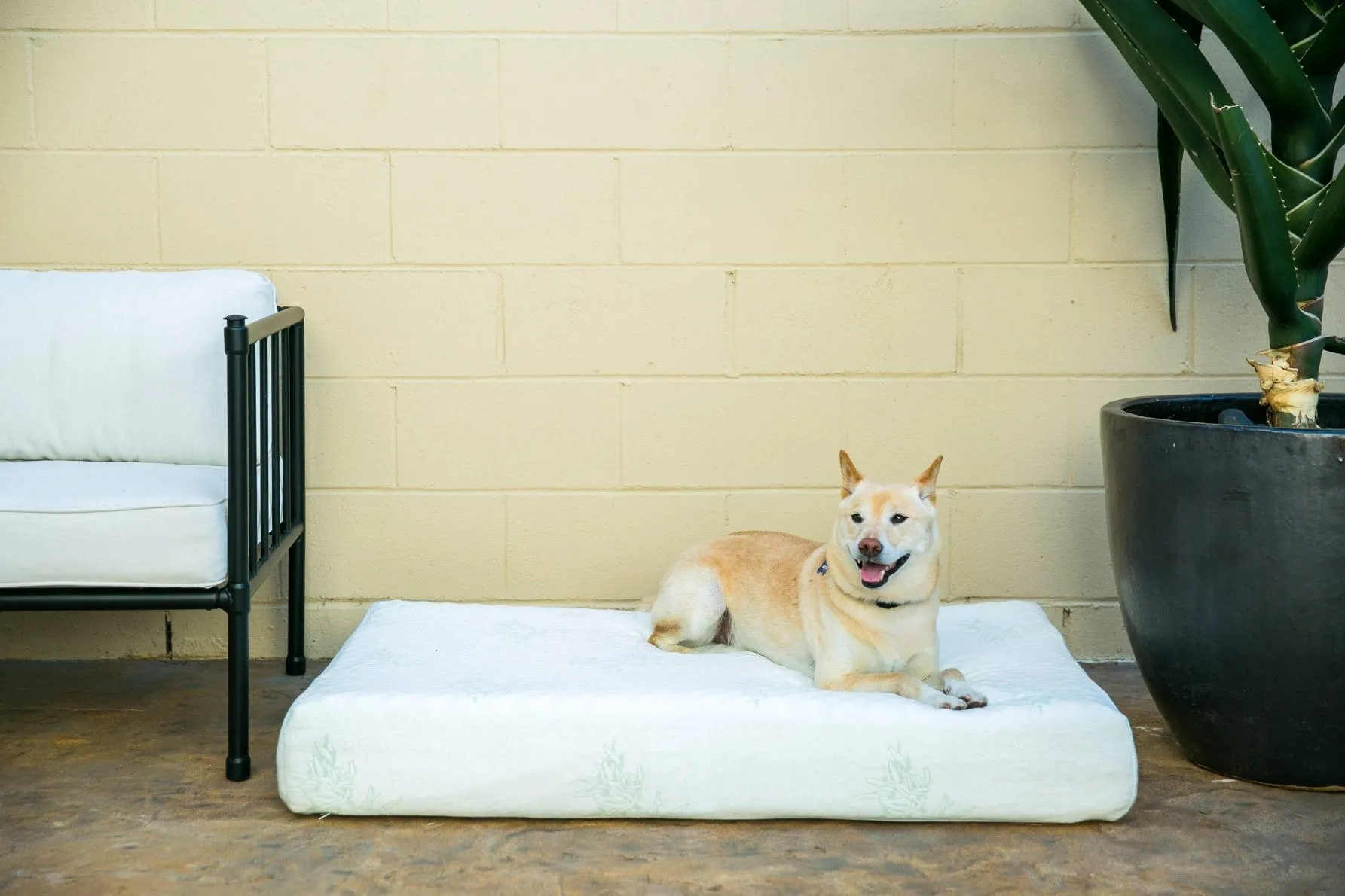 Bamboo Memory Foam Pet Bed WITH HEMP COVER