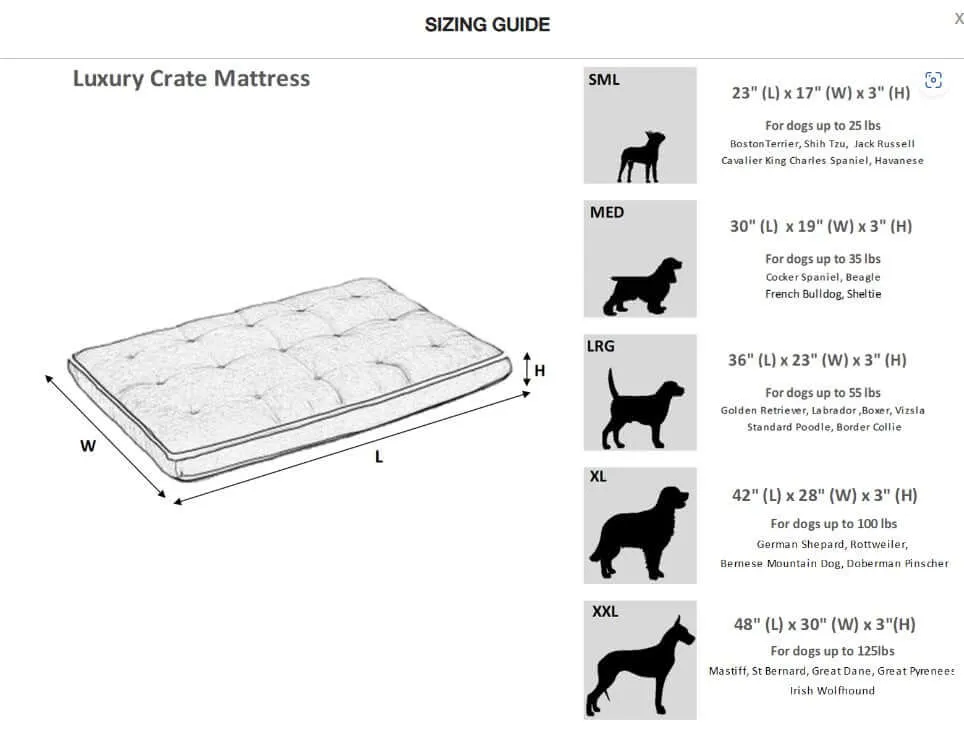 Bowsers Oslo Ortho Dog Bed - Portofino