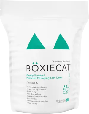 Boxiecat Gently Scented Premium Clumping Clay Cat Litter (16-lb)