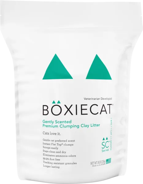 Boxiecat Gently Scented Premium Clumping Clay Cat Litter (16-lb)