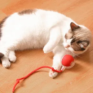🎊Buy 2 Get 20% OFF🐱🐶Smart Automatic Rolling Pet Ball