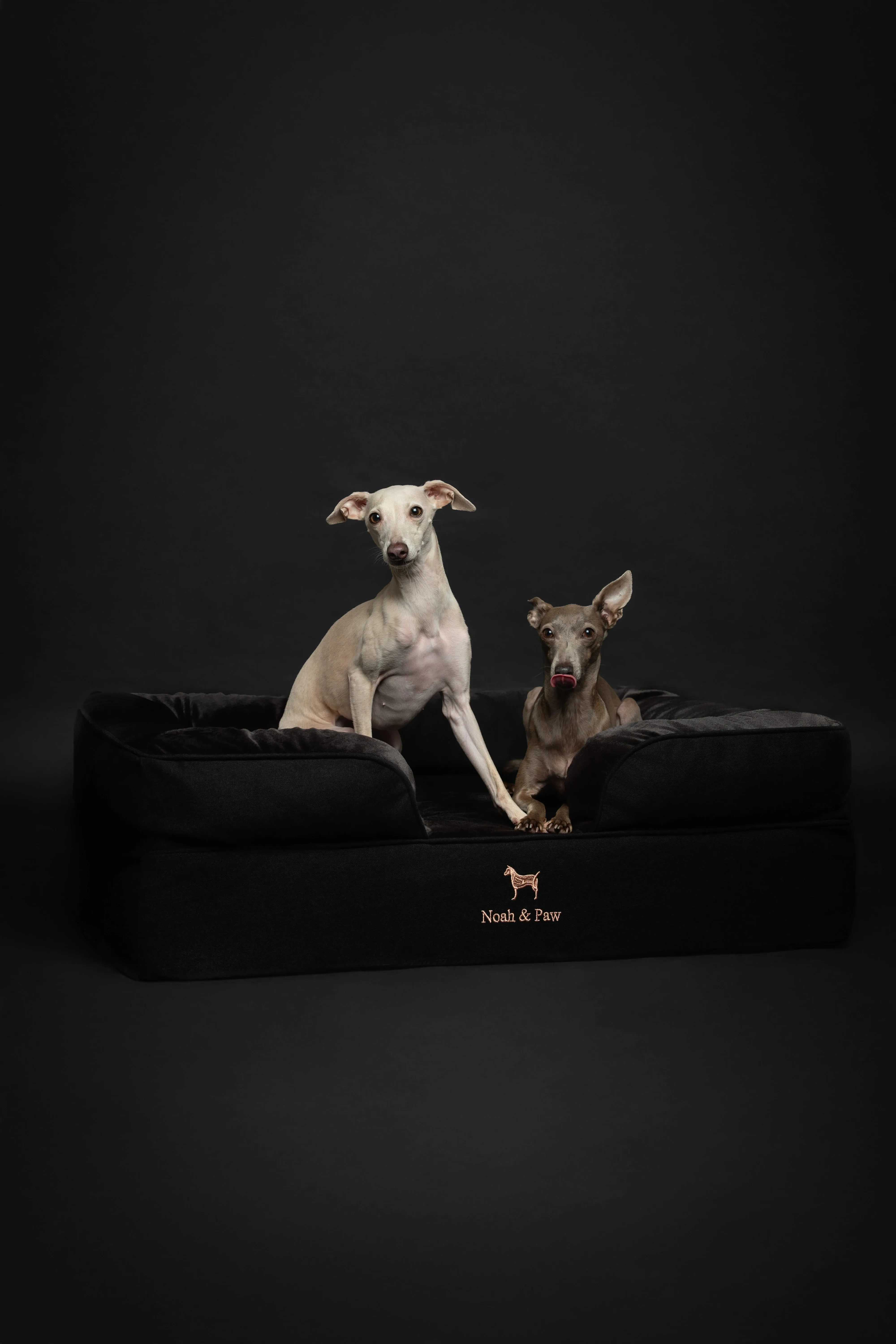 Denim Orthopedic Pet Bed, Memory Foam, Infused with Cooling Gel