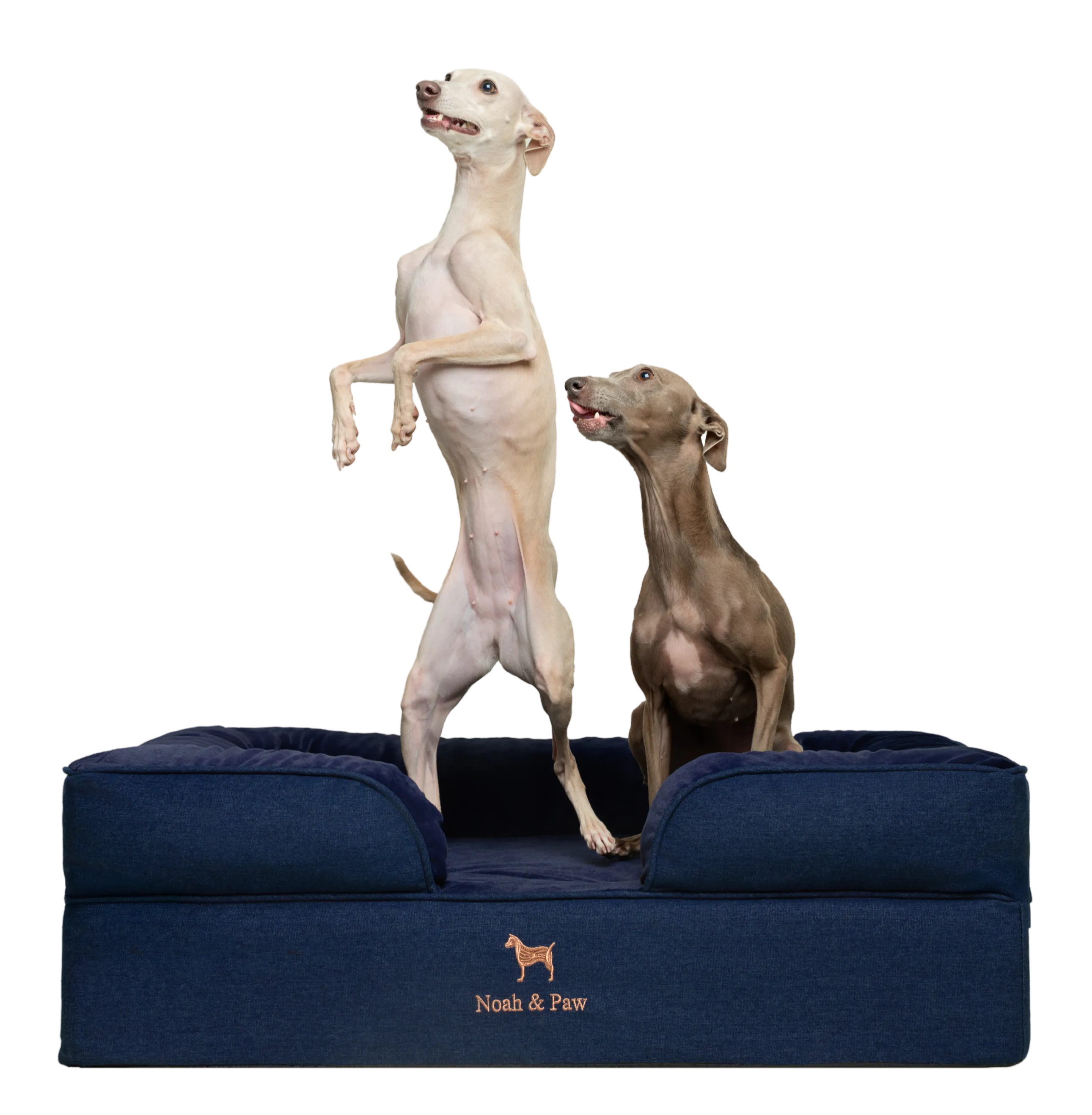 Denim Orthopedic Pet Bed, Memory Foam, Infused with Cooling Gel