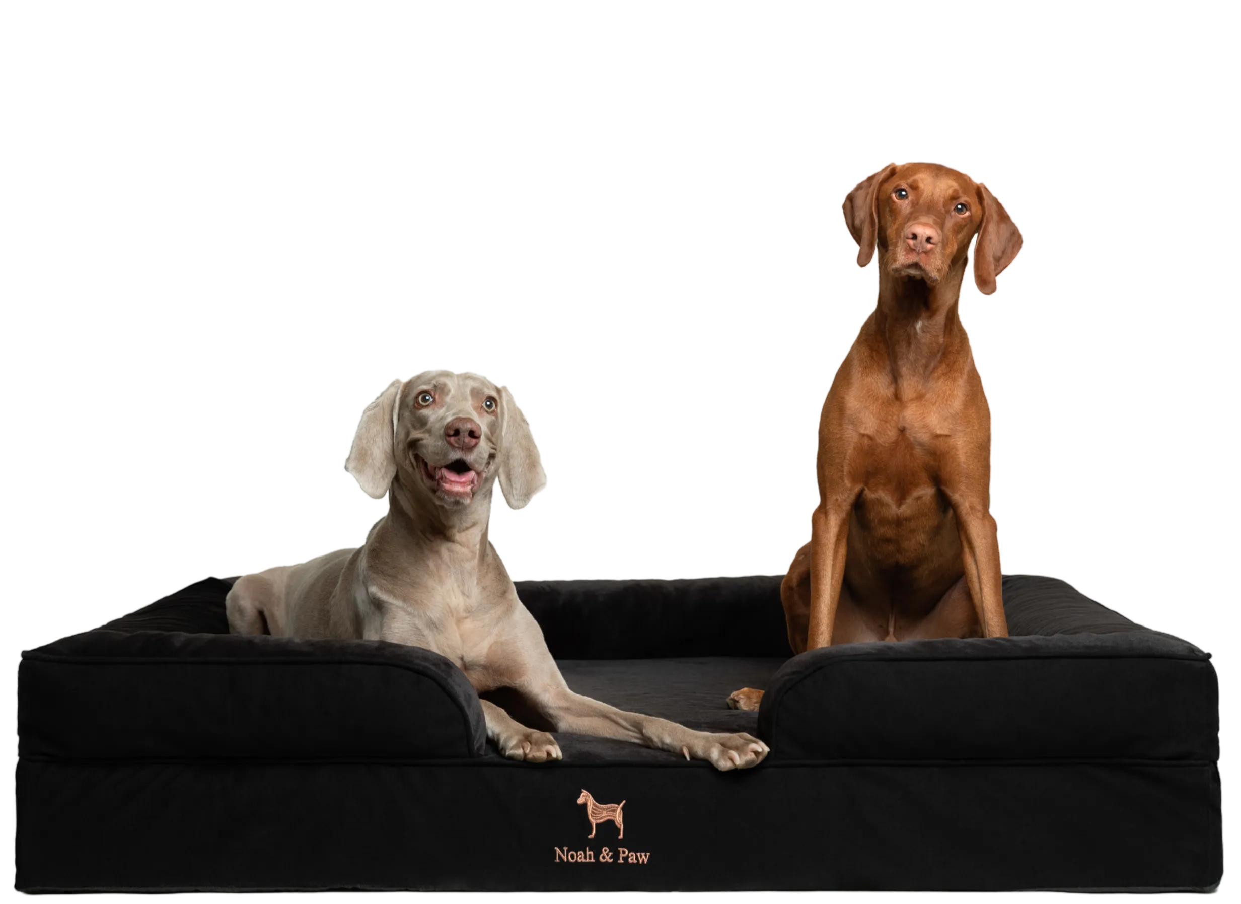 Denim Orthopedic Pet Bed, Memory Foam, Infused with Cooling Gel