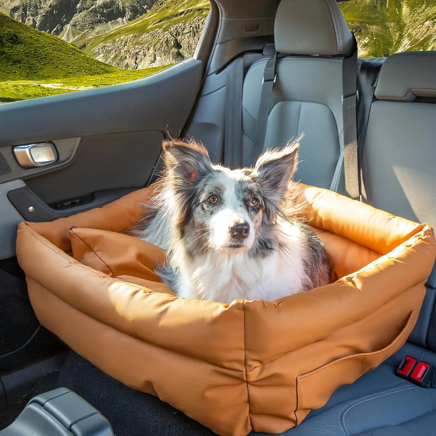 Dog Car Seat, Leather Portable Booster Seat, Large/Medium Dog Bed for Car Back Seat, Travel Bed with Storage Pockets, Removable Washable Up to 170 lbs
