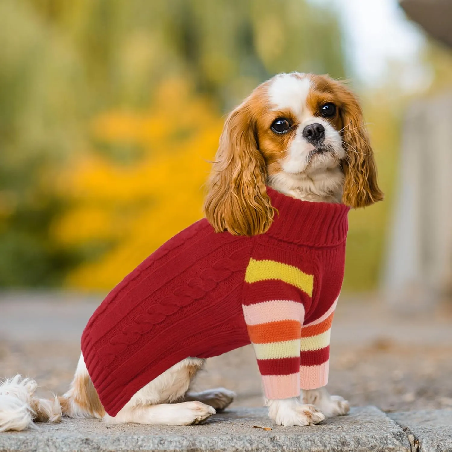 Dog Sweater Thick, Sweaters for Large Size Dogs Comfy, Stretchy Pullover Dog Sweater for Large Doggie, Christmas Dogs Sweaters Unisex, Warm Pet Knitwear Boston Terrier, Frenchie (Red L)