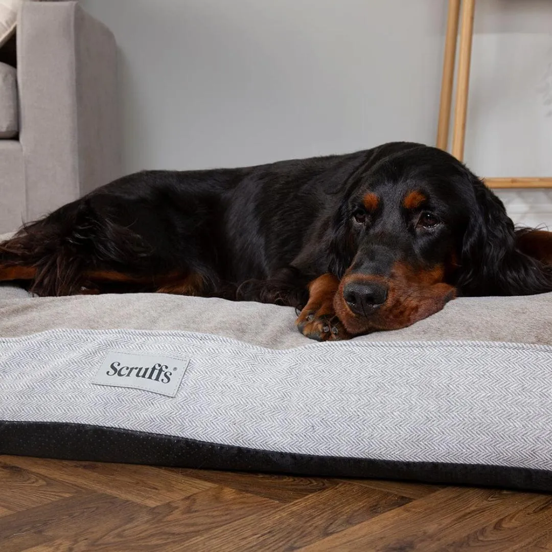 Harvard Memory Foam Mattress Dog Bed - Pearl Grey