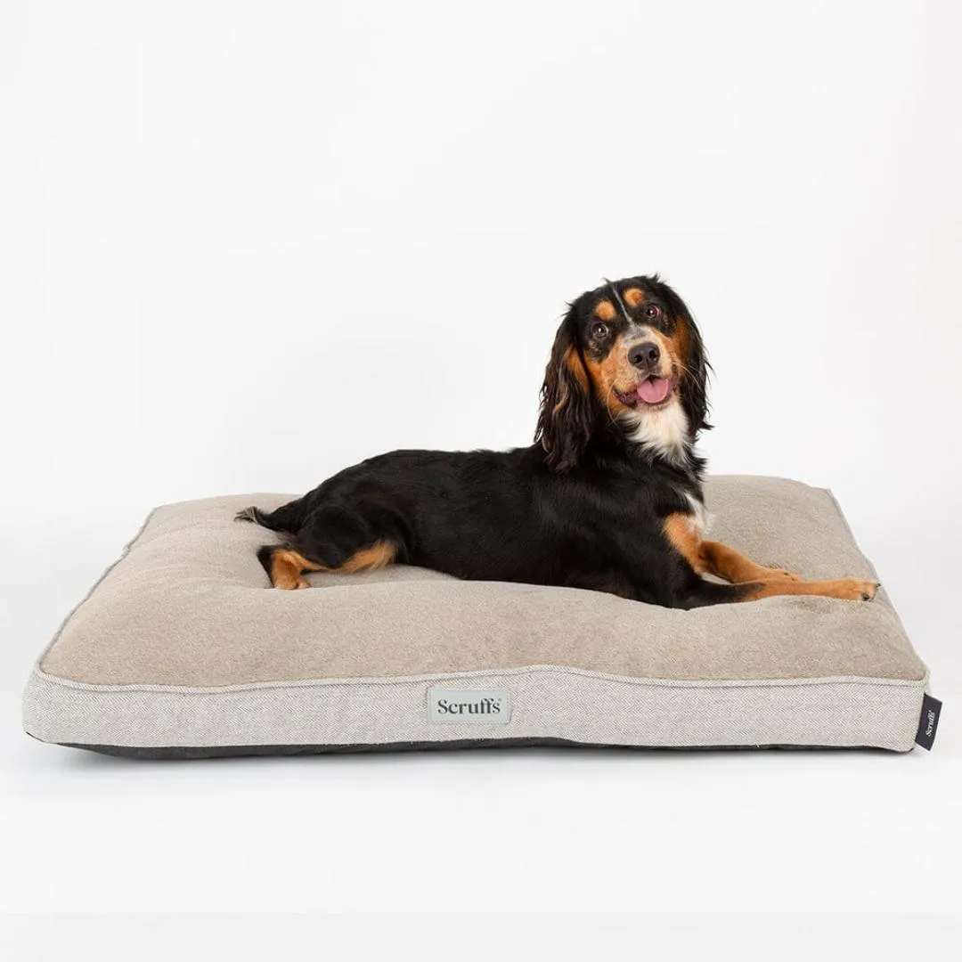 Harvard Memory Foam Mattress Dog Bed - Pearl Grey