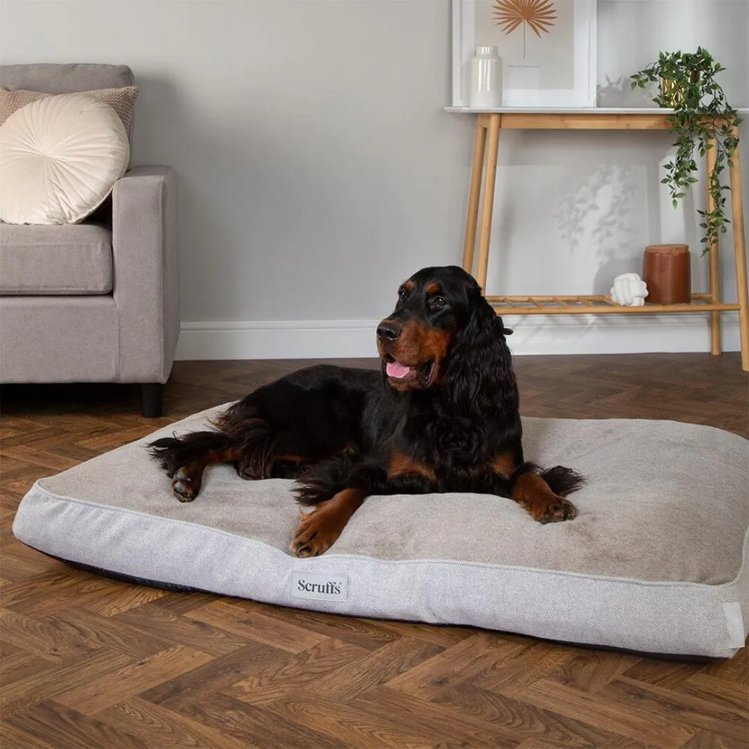 Harvard Memory Foam Mattress Dog Bed - Pearl Grey
