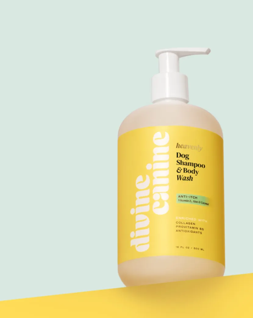 Heavenly Anti-Itch Dog Shampoo & Body Wash (FINAL SALE)