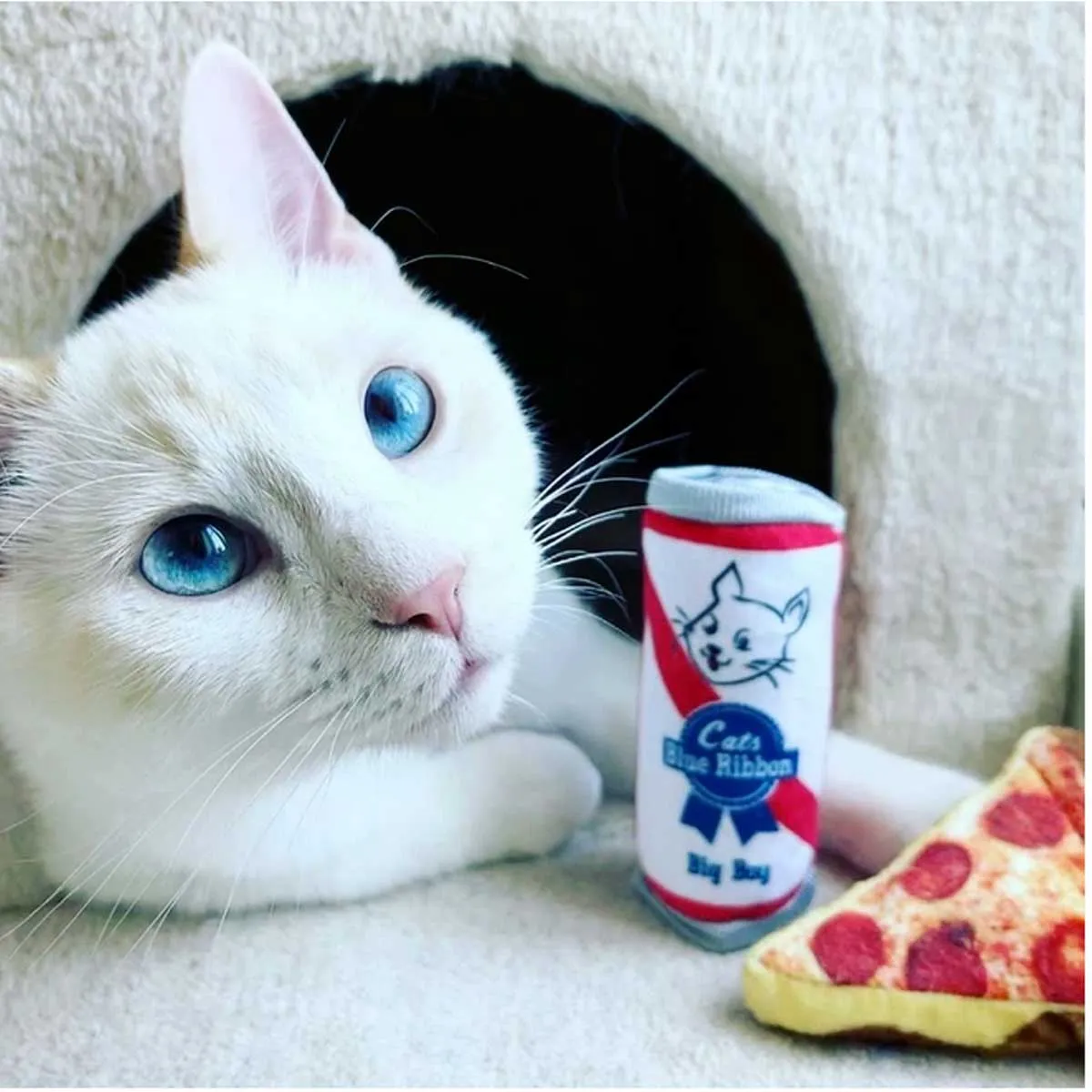 Kittybelles Blue Ribbon Catnip Toy