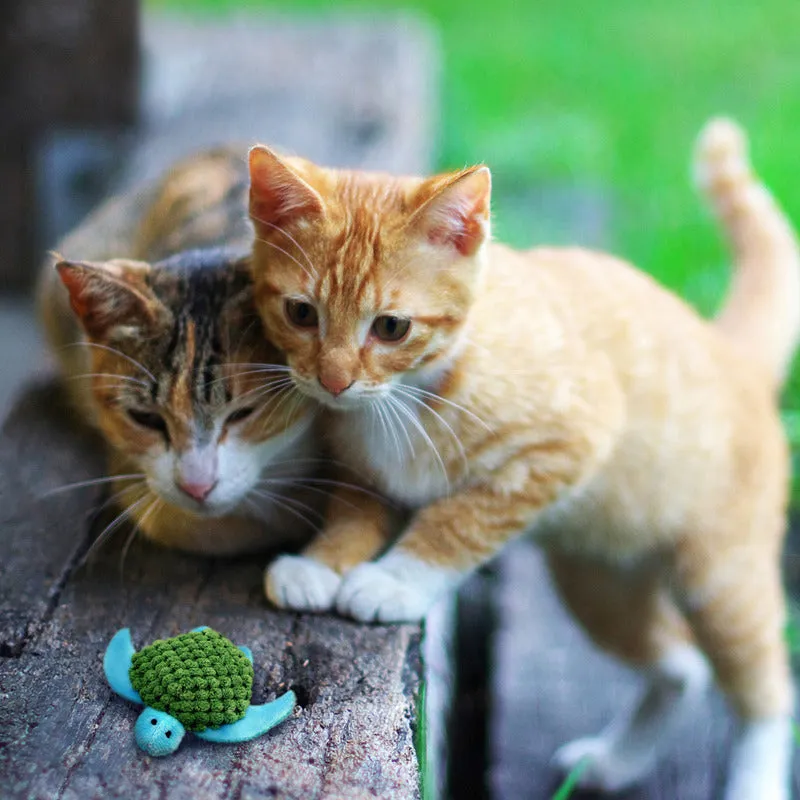 KONG Cat Refillables Turtle