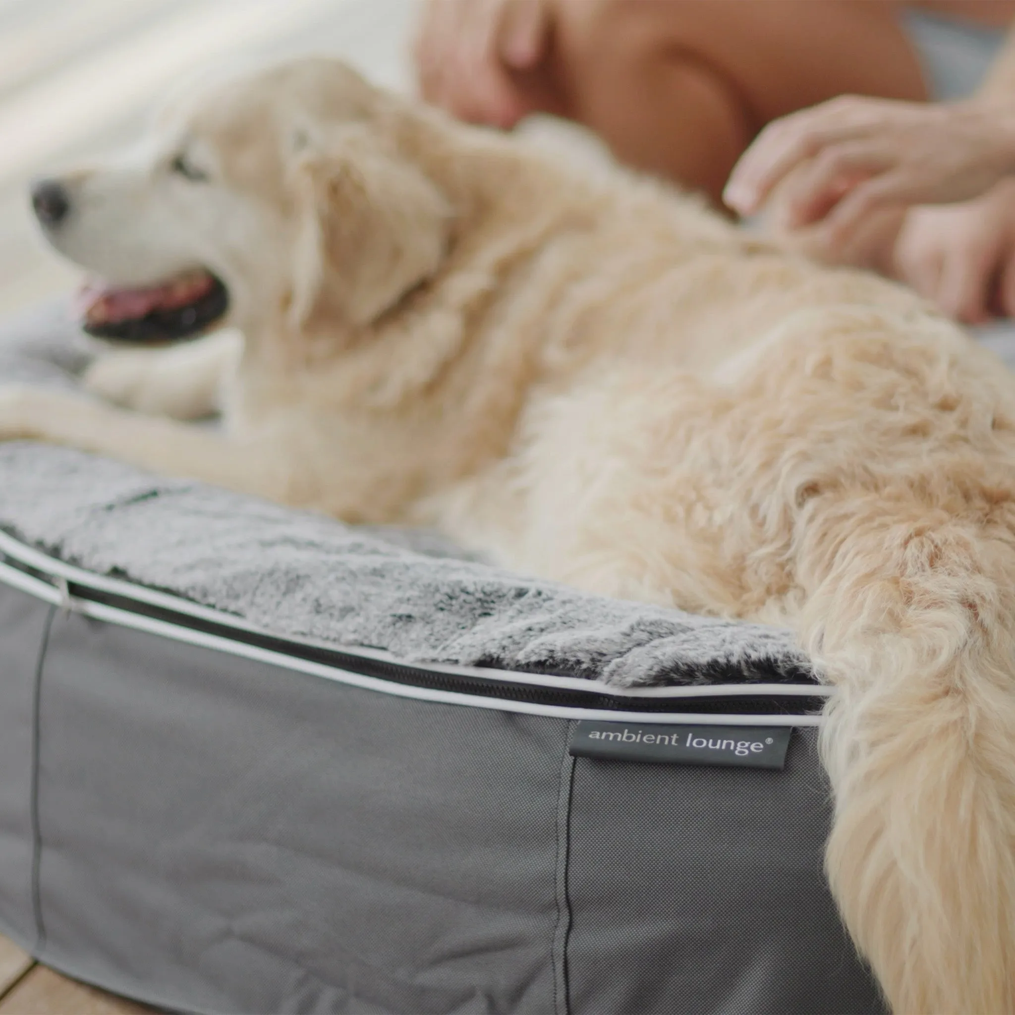 Large Rebound Foam Mattress Dog Bed - Interior/Outdoor