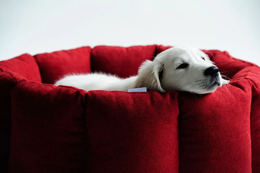 Luxury Bloom Nest Dog Bed