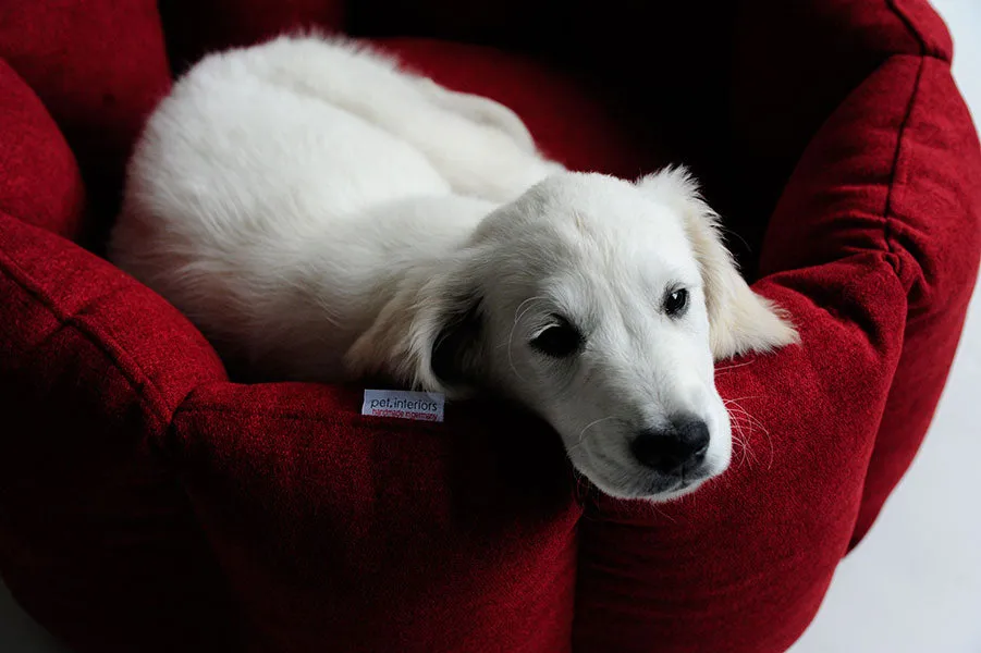 Luxury Bloom Nest Dog Bed