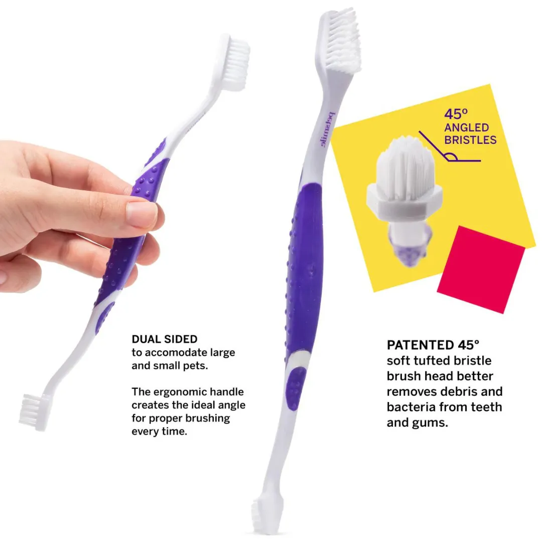 PetSmile Say Cheese Flavour Professional Pet Toothpaste & Professional Pet Toothbrush Set