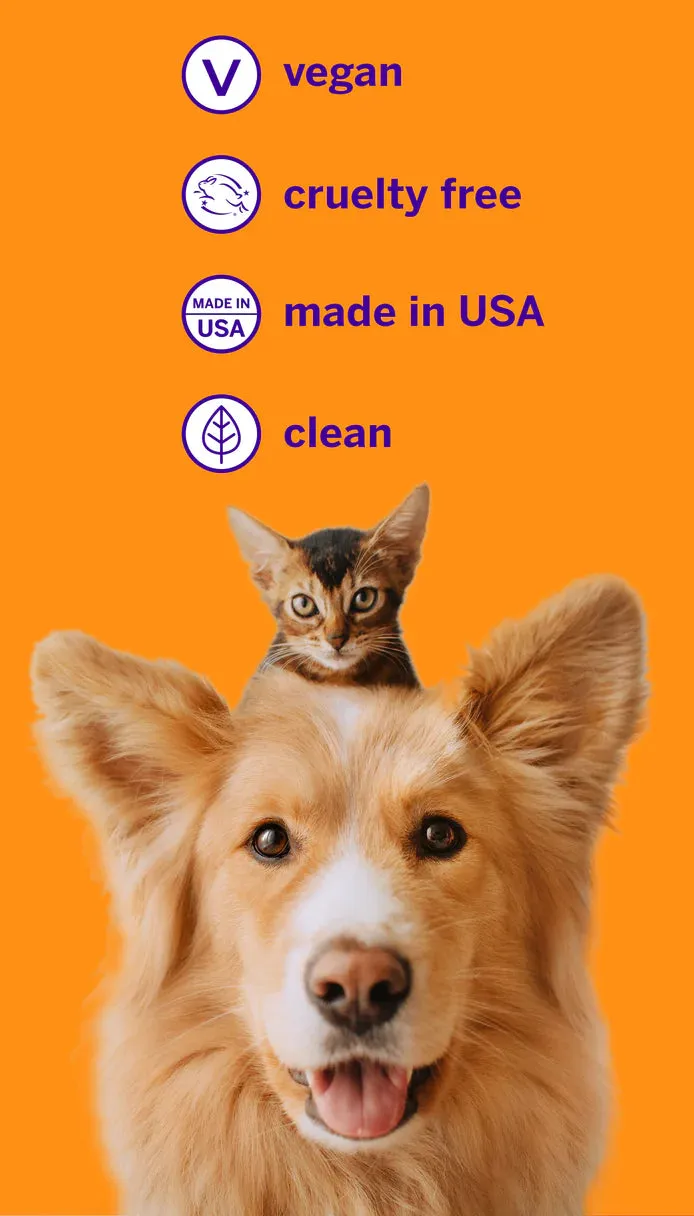 PetSmile Say Cheese Flavour Professional Pet Toothpaste & Professional Pet Toothbrush Set