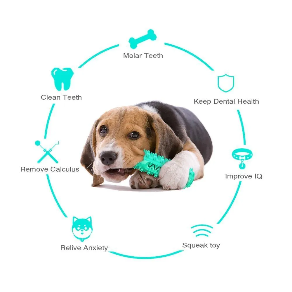 SqueakyBrush™ | The Toothbrush Toy That Makes Hygiene Fun