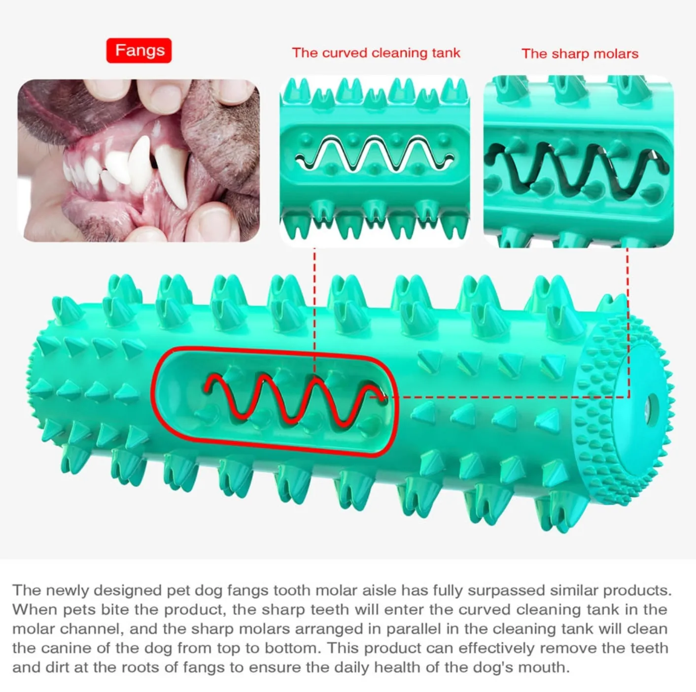 SqueakyBrush™ | The Toothbrush Toy That Makes Hygiene Fun