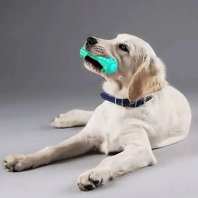 SqueakyBrush™ | The Toothbrush Toy That Makes Hygiene Fun