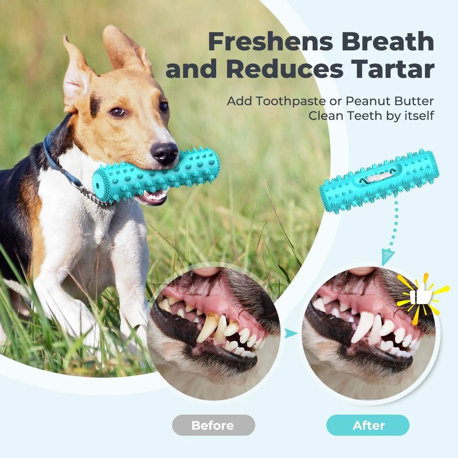 SqueakyBrush™ | The Toothbrush Toy That Makes Hygiene Fun
